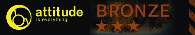 Attitude is Everything bronze bnner